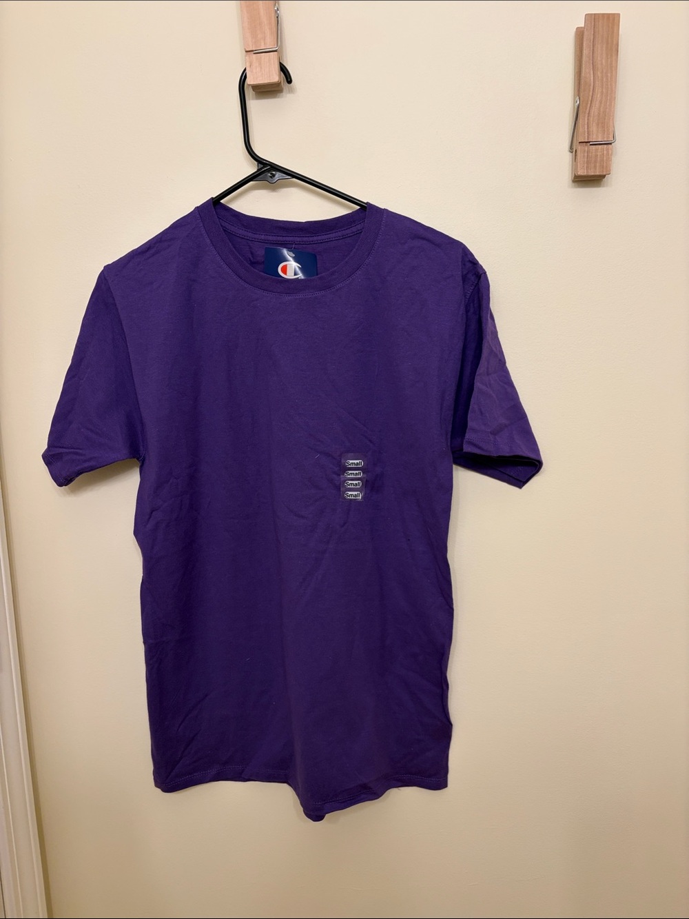 Champion Men's Short Sleeve Crewneck T-Shirt in Purple
